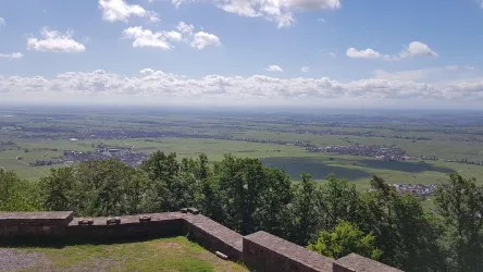Eine weite Landschaft mit grünen Feldern und einem ruhigen See. Der Himmel ist teilweise bewölkt und die Aussicht ist atemberaubend.