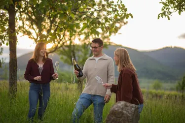 Drei Freunde feiern im Freien und stoßen mit Champagnergläsern an. Im Hintergrund sind sanfte Hügel und ein Sonnenuntergang zu sehen.