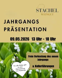 Ein Werbeplakat für die Jahrgangspräsentation des Weinguts Stachel. Die Veranstaltung findet am 09.05.2026 von 13 Uhr bis 18 Uhr statt und bietet kostenlose Verkostungen und Kellerführungen.