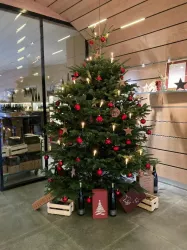 Tannenbaum im Weingut (© Wein- und Sekthaus Volker und Bernd Schreieck)