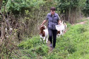 Wandern mit Ziege "Else" (© Norman Krauß)