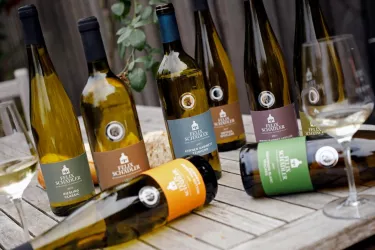 Weinsortiment (© Weingut Felix Schädler)