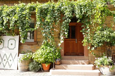 Hof (© Weingut Felix Schädler)