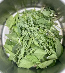 Ein Topf mit frischen Kräutern wie Minze, Koriander und anderen grünen Blättern. Die Kräuter sind gut sortiert und liegen übereinander.