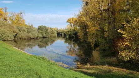 Ein ruhiger Fluss umgeben von Bäumen mit herbstlichem Laub. Der Himmel ist blau und wolkenlos.