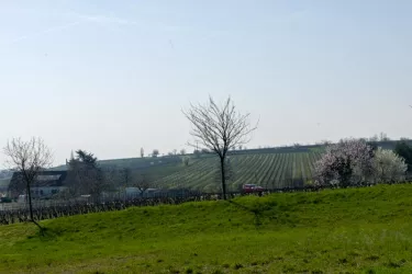 2019-03-23_Ferienwohnung_800x534-6917