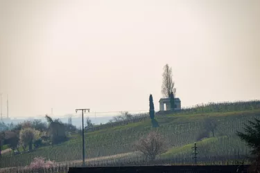 2019-03-23_Ferienwohnung_800x534-6930
