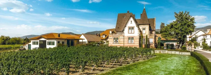 Ein malerisches Haus neben Weinbergen und unter einem blauen Himmel. Die Umgebung ist grün und einladend.