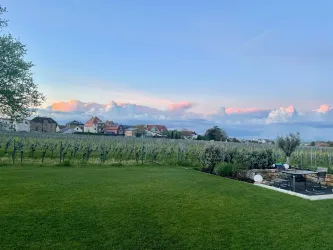 Ein schöner Garten mit grünem Rasen und Blick auf Weinreben. Im Hintergrund sind Häuser und ein farbenfroher Himmel zu sehen.