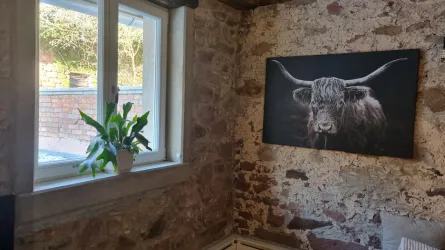 An der Wand hängt ein Bild eines Hochlandrinds, und auf der Fensterbank steht eine Pflanze.