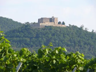 Hambacher Schloss