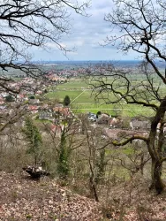 Ein Blick auf eine malerische Landschaft mit einem Dorf und weiten Feldern. Der Himmel ist bewölkt und die Bäume im Vordergrund sind karg.