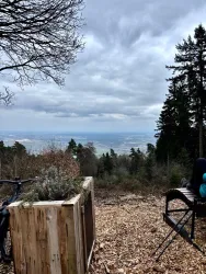 Ein ruhiger Ausblick von einem Waldhang auf eine weite Landschaft. Im Vordergrund steht eine Holzbank und eine Pflanzbox.