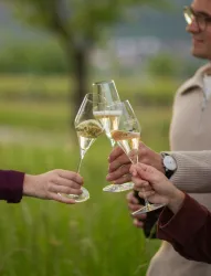 Ein fröhliches Anstoßen mit Gläsern Sekt im Freien. Im Hintergrund sind grüne Wiesen und sanfte Hügel zu sehen.