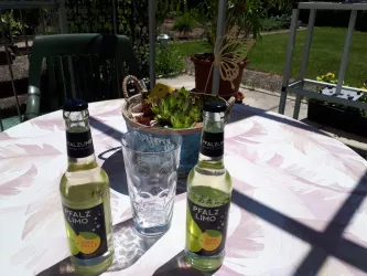 Dubbeglas ! geht auch Alk.-frei :)