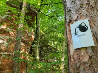 Der Haweweg bei den Krebswoog-Felsen