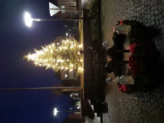 Weihnachtsbaum am Denkmal