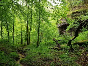 Clauser Tal beim Kuhfelsen