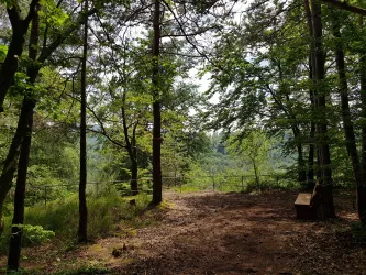 Aussichtspunkt Schwabfelsen