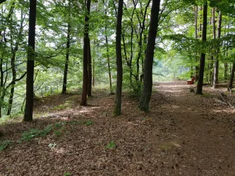 Aussichtspunkt Schwabfelsen