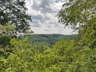 Ausblick Schwabfelsen