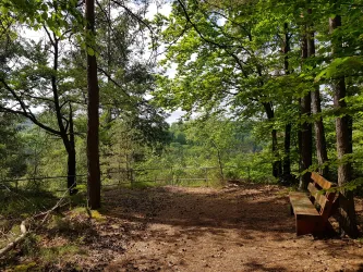 Aussichtspunkt Schwabfelsen