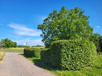 Rastplatz Orleberg