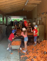 Kinder beim Futter verladen