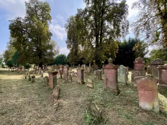 Grabsteine Jüdischer Friedhof Essingen