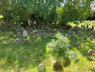 Jüdischer Friedhof Essingen b (© Eberhard Dittus)