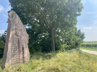 Picknickplatz "Liebsinsel" Essingen (5)