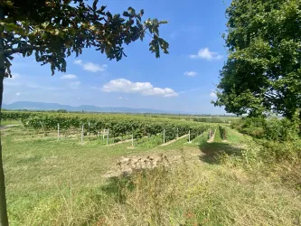 Picknickplatz "Liebsinsel" Essingen (3)