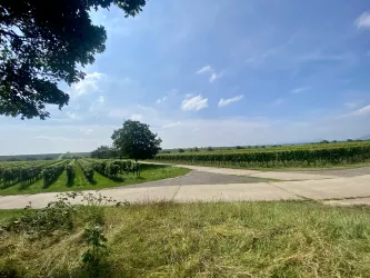 Picknickplatz "Liebsinsel" Essingen (1)