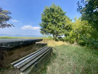 Picknickplatz "Liebsinsel" Essingen (4)