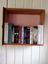 Ein Holzregal mit mehreren Bücher, die ordentlich aufgereiht sind. Die Wand im Hintergrund ist hell gestrichen.