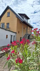 Blumen vor dem Haus (© Wiebke Füge)