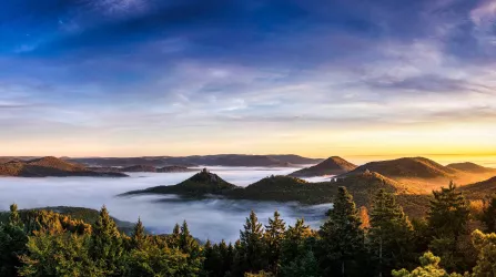 waldhotel-eisenberg-pfälzer-wald (© Waldhotel Eisenberg)