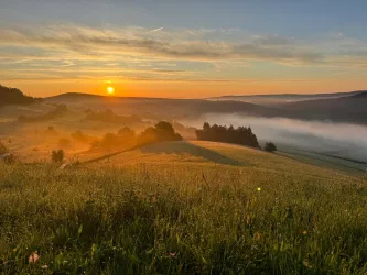 Morgenblick vom Burgberg