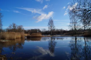 Weiher in der Erdekaut