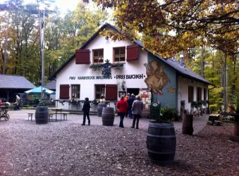 Hütte (© Verein SÜW Annweiler e.V.)