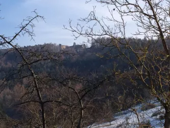 Blick auf Burgruine Neuscharfeneck (© Petra Weißgerber-Bolz)