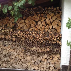 Holzpolder (© Petra Weißgerber-Bolz)