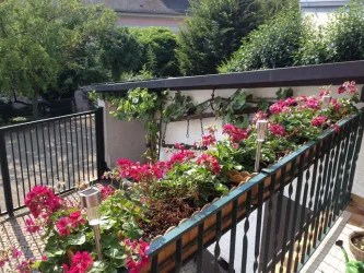 Aussicht Terrasse