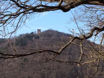 Blick auf Burgruine Ramburg (© Petra Weißgerber-Bolz)