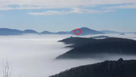 Ramburg im Nebel (© Verein SÜW Annweiler e.V.)