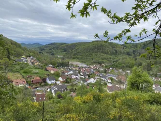 Ortsansicht (© Verein SÜW Annweiler e.V)