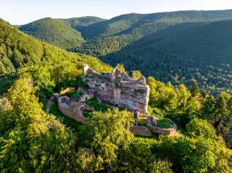 Burgruine Meistersel von oben (© Verein SÜW Annweiler e.V., Fotograf: Dominik Ketz)