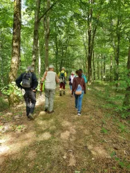 Geo-Tour Donnersberg am Keltenwall (© Donnersberg-Touristik-Verband e.V.)