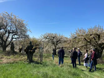 Eine Gruppe von Personen steht in einem blühenden Obstgarten unter blauem Himmel. Die Bäume sind mit weißen Blüten bedeckt und vermitteln eine fröhliche Frühlingsstimmung.