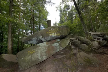 Ein großer, moosbedeckter Felsen in einem Wald. Im Hintergrund sind grüne Bäume und ein bewölkter Himmel zu sehen.